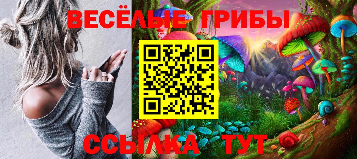 Галлюциногенные грибы мицелий  Псилоцибиновые грибы мицелий  Вход с VPN  Котлас 